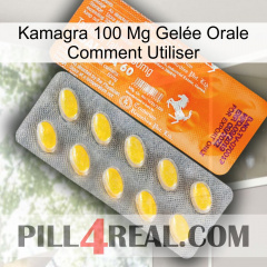 Kamagra 100 Mg Gelée Orale Comment Utiliser new05